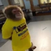 🐒✨️Chimpances Mood✨️🐒 7