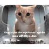 Gatitos 🐱 9