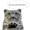 Random & Furry 20