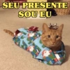 SEU PRESENTE SOU EU