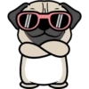 🐾Pug🐾 11