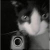 Michis 😺🥰🤭 13
