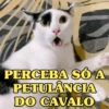 PERCEBA SÓ A PETULÂNCIA DO CAVALO