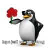Inpo jadi cowomu dong