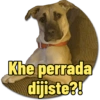 Khe perrada dijiste?!