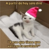 Reacciones de Navidad 🧑🏻‍🎄🎄🎁 14