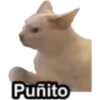 Puñito 🤓 6