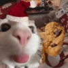 Aperitivos do Natal 15
