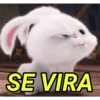 SE VIRA