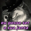 Reações + lobos 🐺 19
