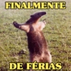 FINALMENTE DE FÉRIAS