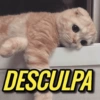 DESCULPA