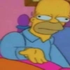 Os Simpsons  13