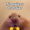 No quiero trabajar ١١١ 115