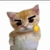 Meme Kucing Lucu 🐱 25