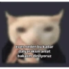 Fff 21