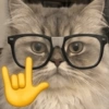 Gatos Random 🐈‍⬛ XDXD 🤣 14