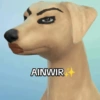 AINWIR
