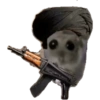 Hamster e non  7