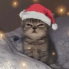 ANIMAIS NATALINOS ❤️🎅 11