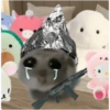 Hamster e non  8