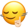Emoji iphone 13