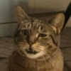 Reaction Tiktok 😯 6
