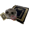 Hamster e non  26