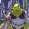 Shrek  13