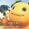 Salken Banh Member Baru :v