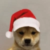 ANIMAIS NATALINOS ❤️🎅 12