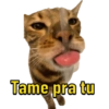 Memes  15