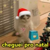 A L'ANAFRIA cheguei pro natal