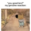 "you good bro?" my genuine reaction: