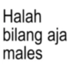 Anomali Spesial Ramadhan ✨ 14