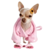 Memes de animais 20