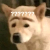 ???????