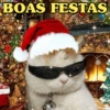 BOAS FESTAS
