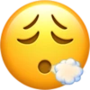 Emoji iphone 17
