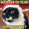 QUER VER TU FICAR @talk to the pow SEM PRESENTE?