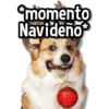 *momento Navideño*