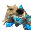 Memes de cachorro 8
