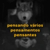 Reações + lobos 🐺 22