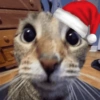 Natal cat. | @ocenferios Haki. 7