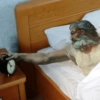 Memes Arte 14