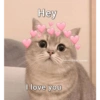 Hey I love you Follow//@hey queeen
