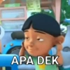 APA DEK