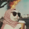 Chill | Cat Meme TikTok 5