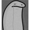 Flork para Ti 😎💕 22