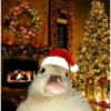 Navidad 🎄😈 9